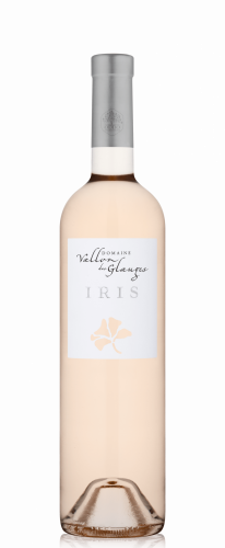 iris rose-01